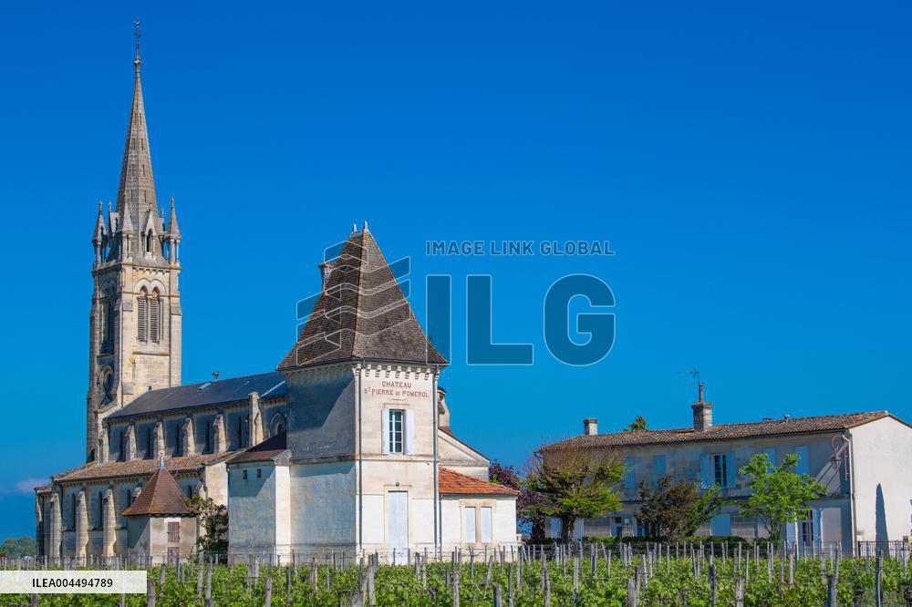 Illustration - Vin Gironde