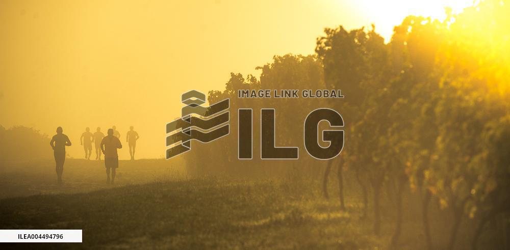 Illustration - Vin Gironde