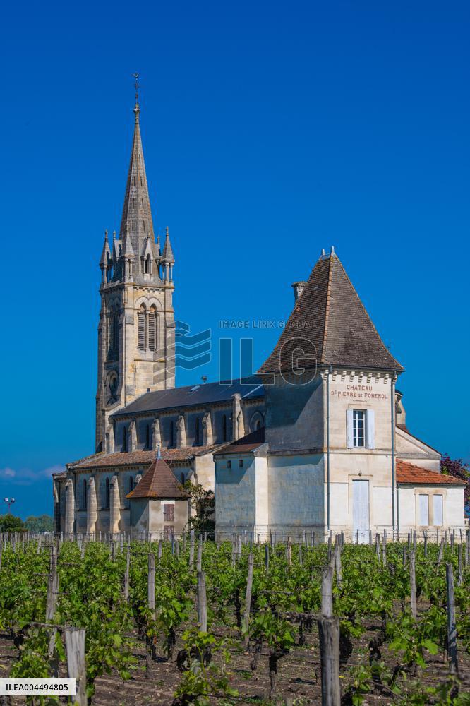 Illustration - Vin Gironde