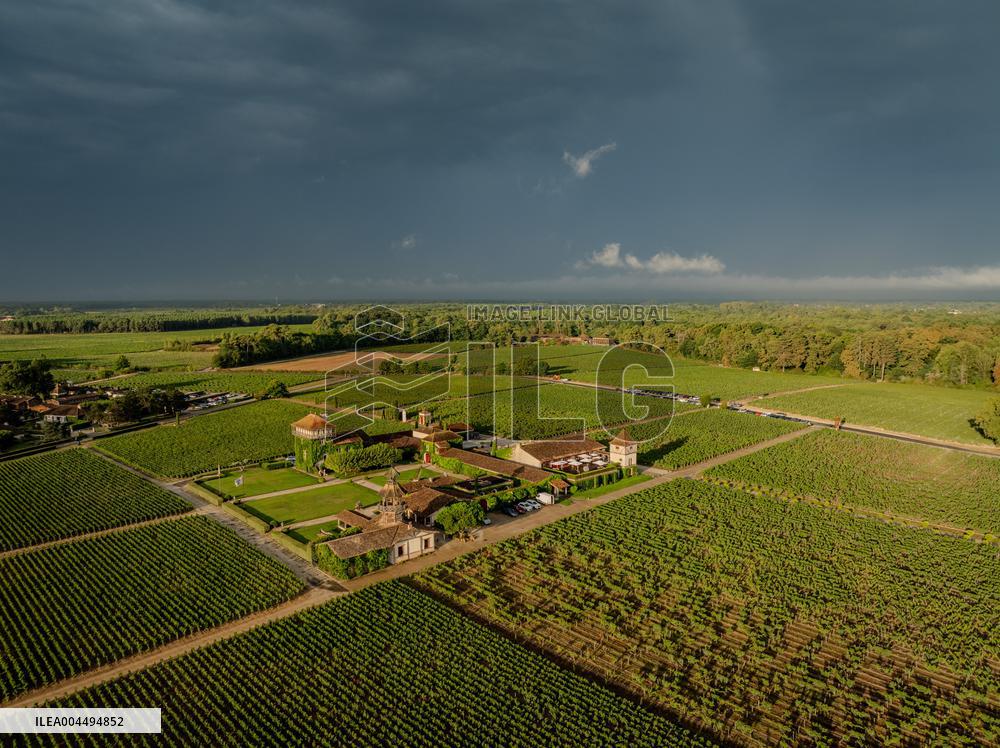 Illustration - Vin Gironde