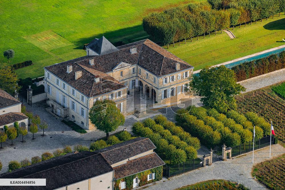 Illustration - Vin Gironde