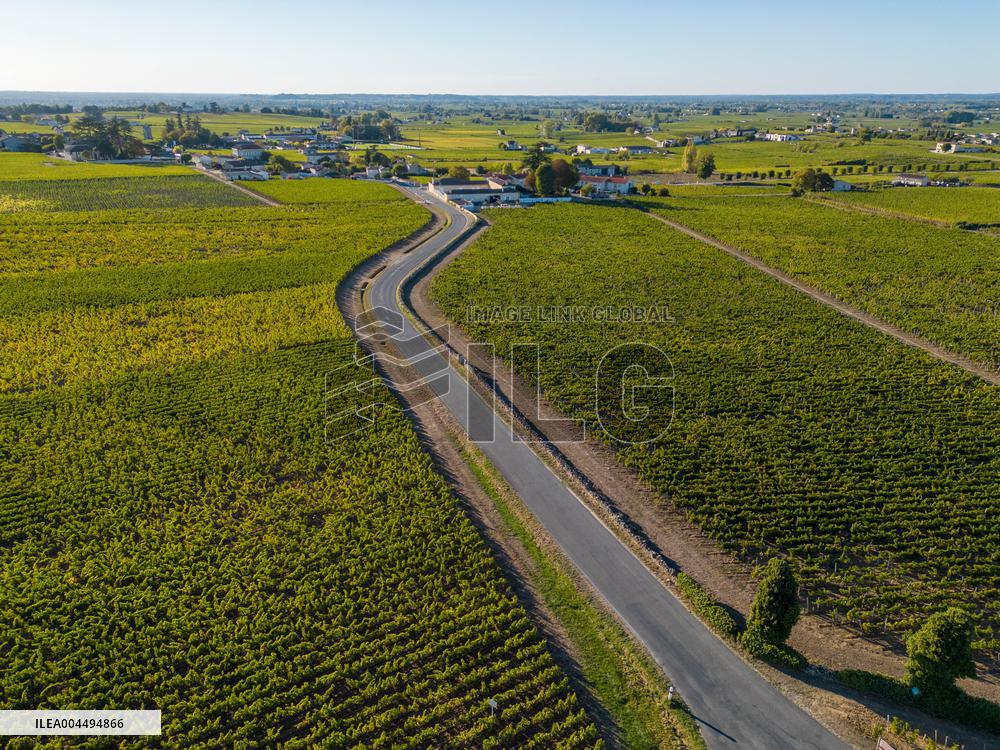 Illustration - Vin Gironde