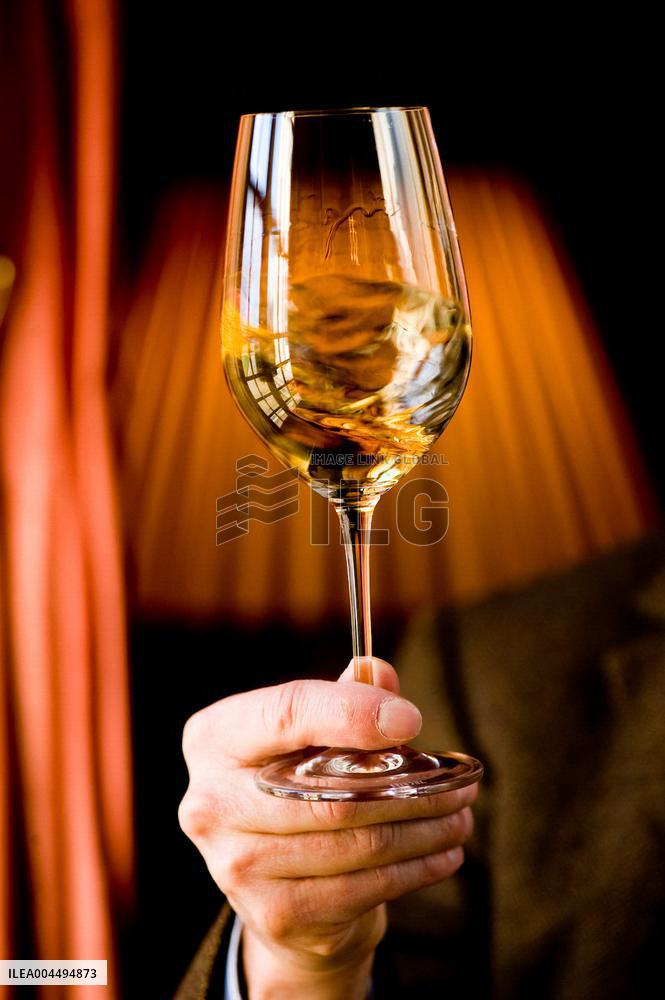 Illustration - Vin Gironde