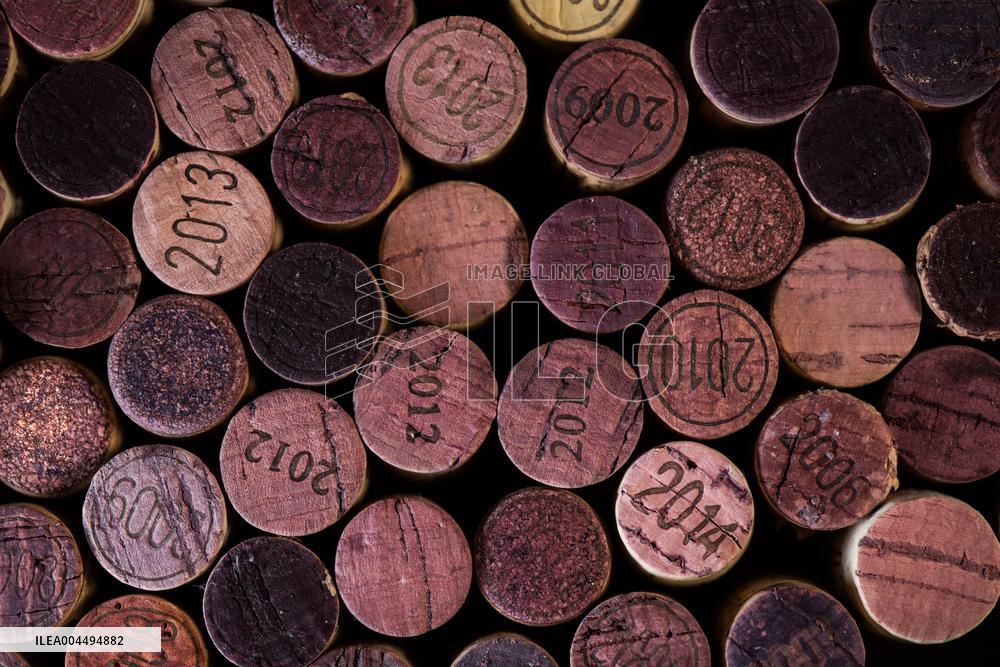 Illustration - Vin Gironde