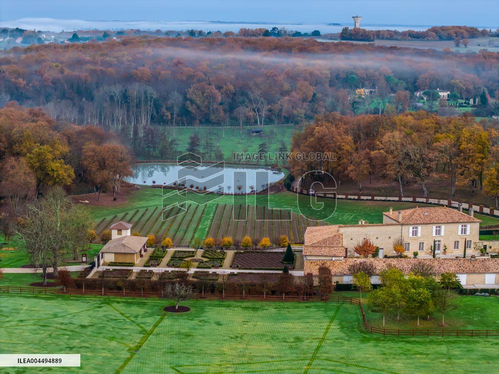 Illustration - Vin Gironde