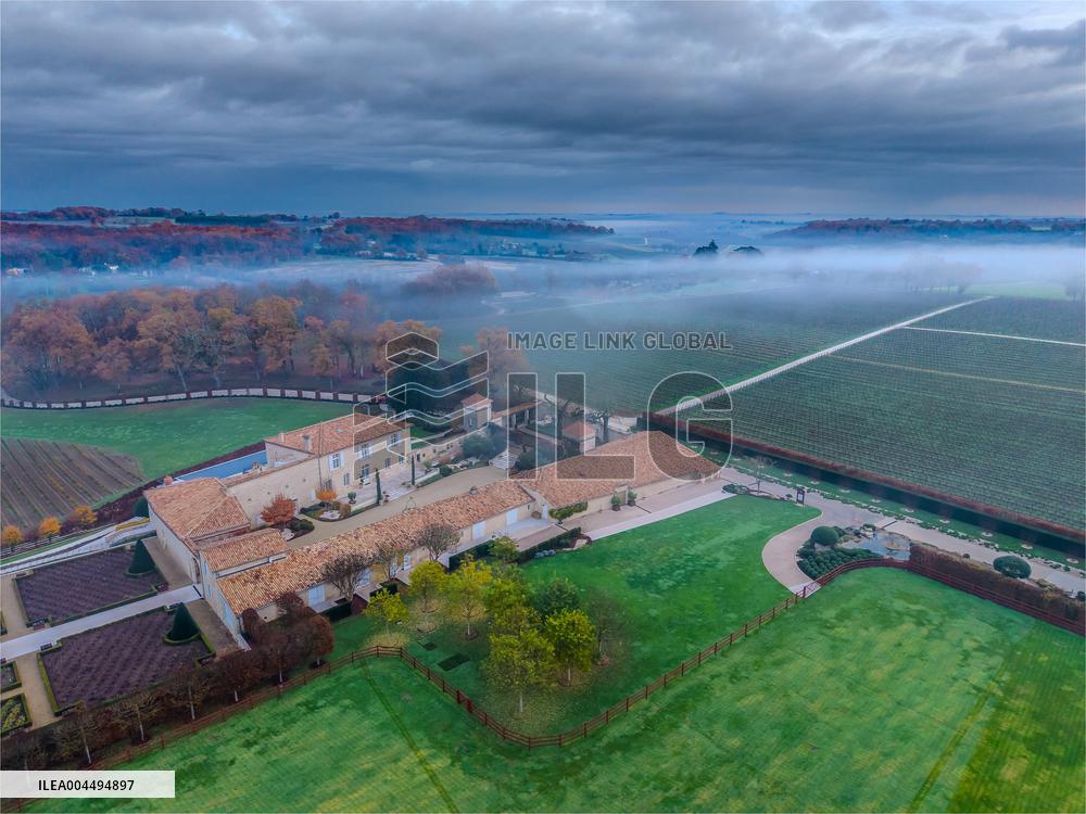 Illustration - Vin Gironde