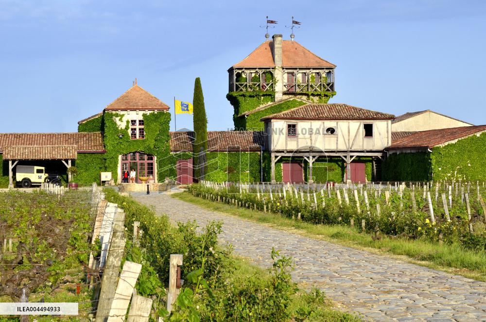 Illustration - Vin Medoc