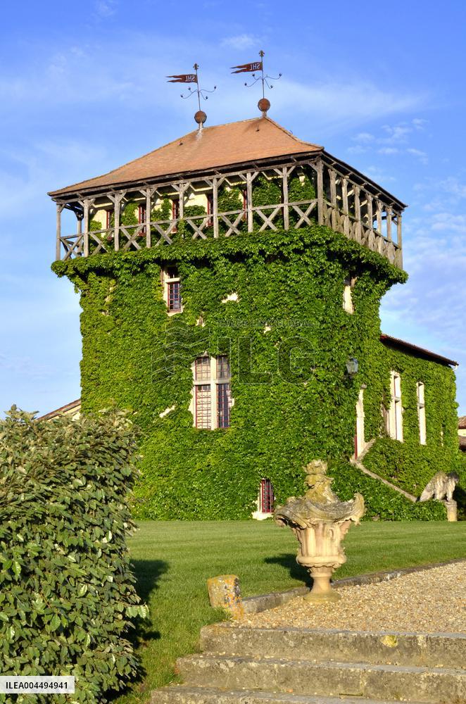 Illustration - Vin Medoc