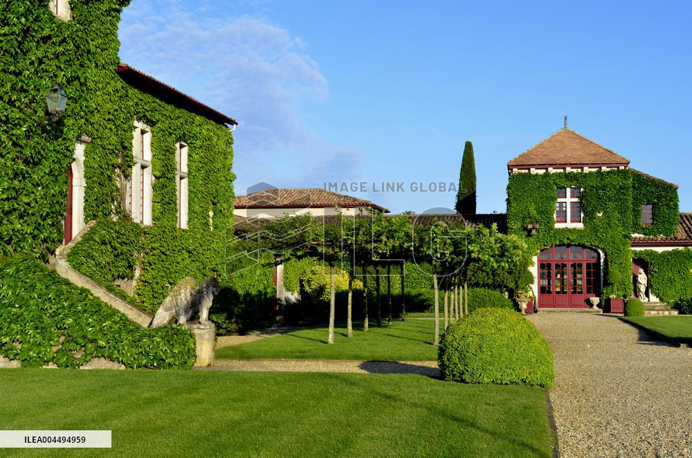 Illustration - Vin Medoc