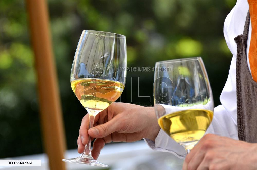 Illustration - Vin Medoc