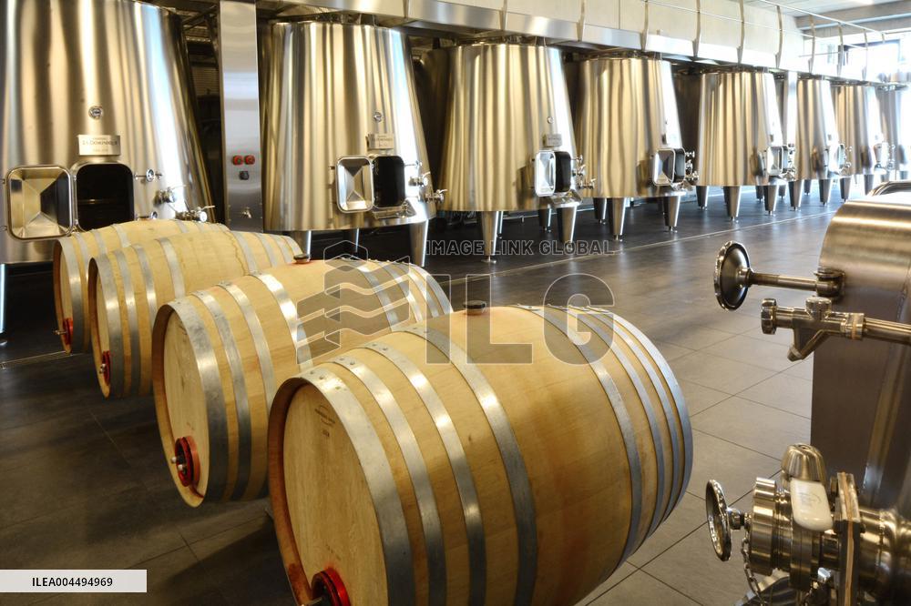 Illustration - Vin Medoc