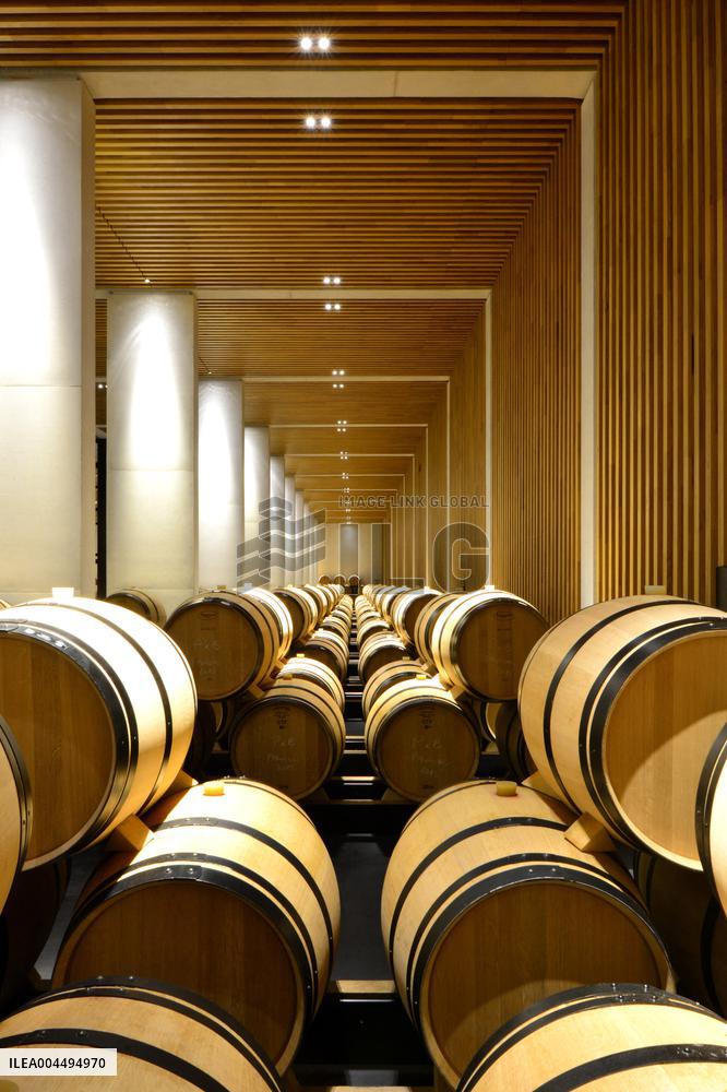 Illustration - Vin Medoc