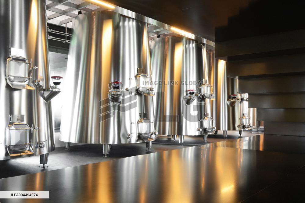 Illustration - Vin Medoc