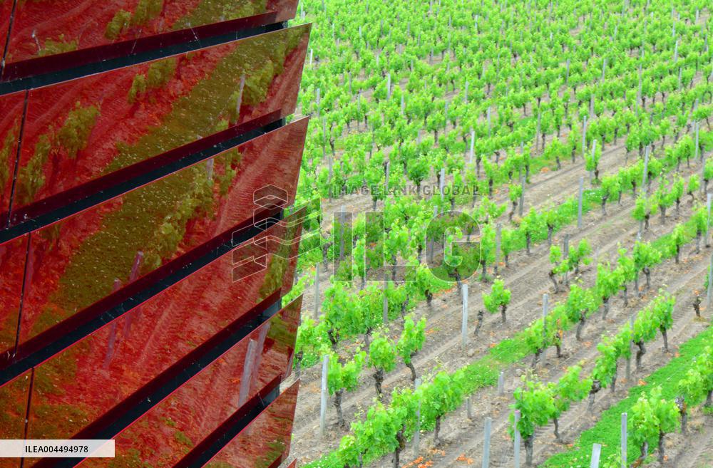 Illustration - Vin Medoc