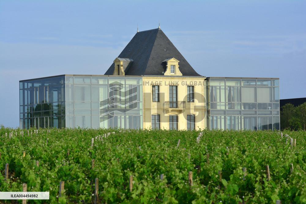 Illustration - Vin Medoc