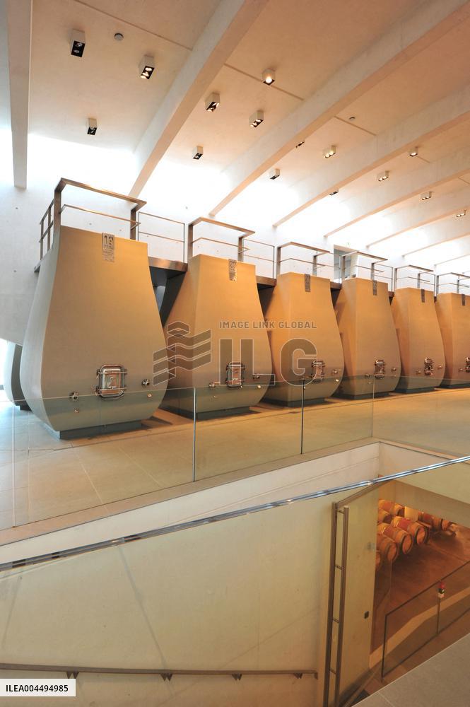 Illustration - Vin Medoc