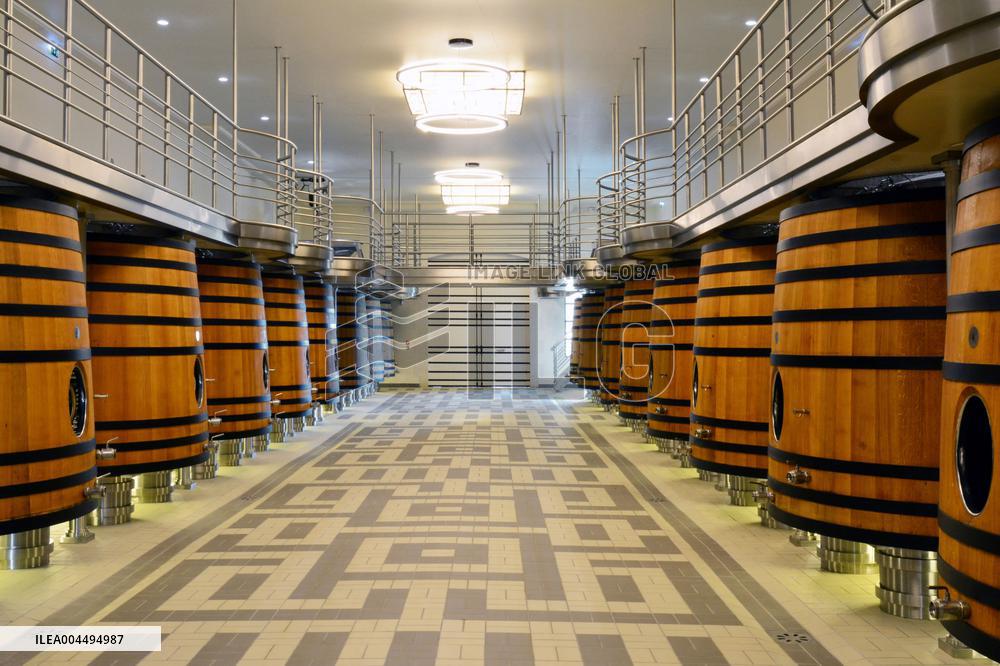 Illustration - Vin Medoc