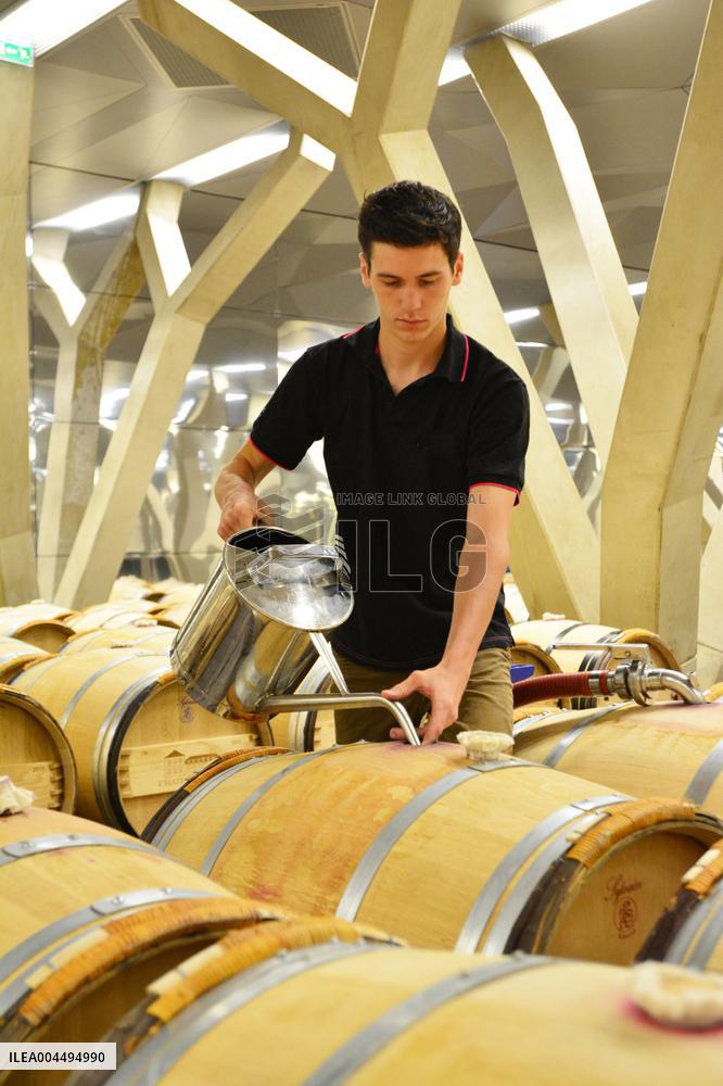 Illustration - Vin Medoc