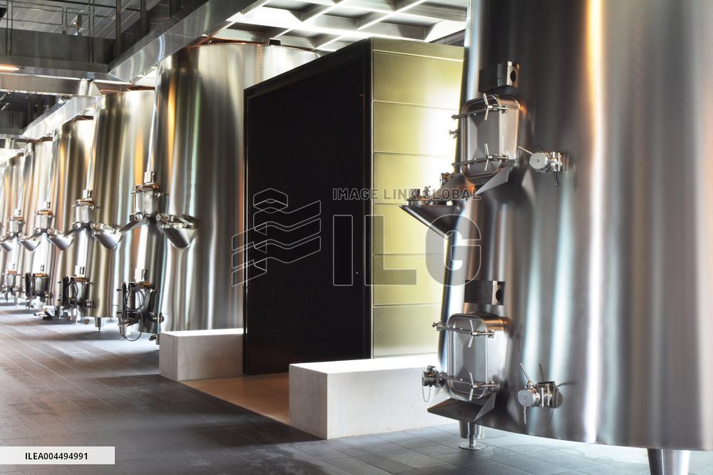 Illustration - Vin Medoc