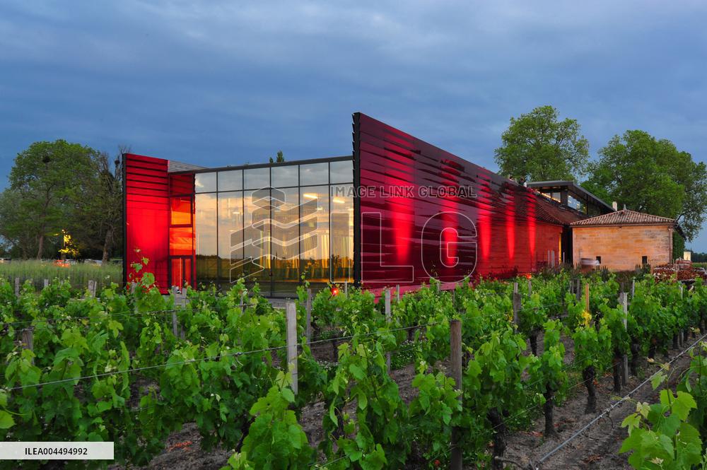 Illustration - Vin Medoc