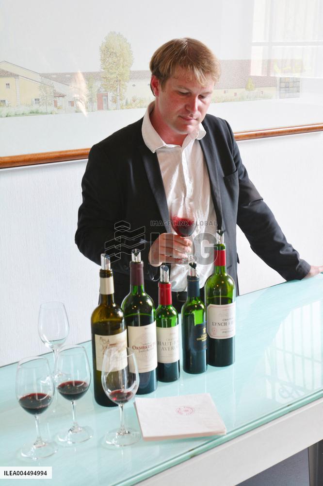 Illustration - Vin Medoc