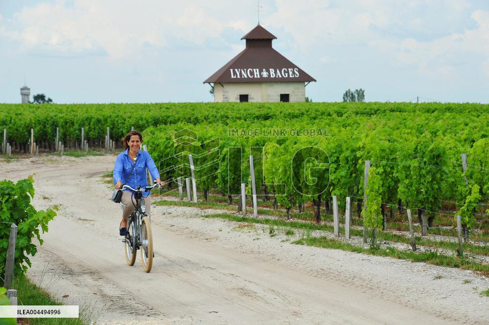 Illustration - Vin Medoc