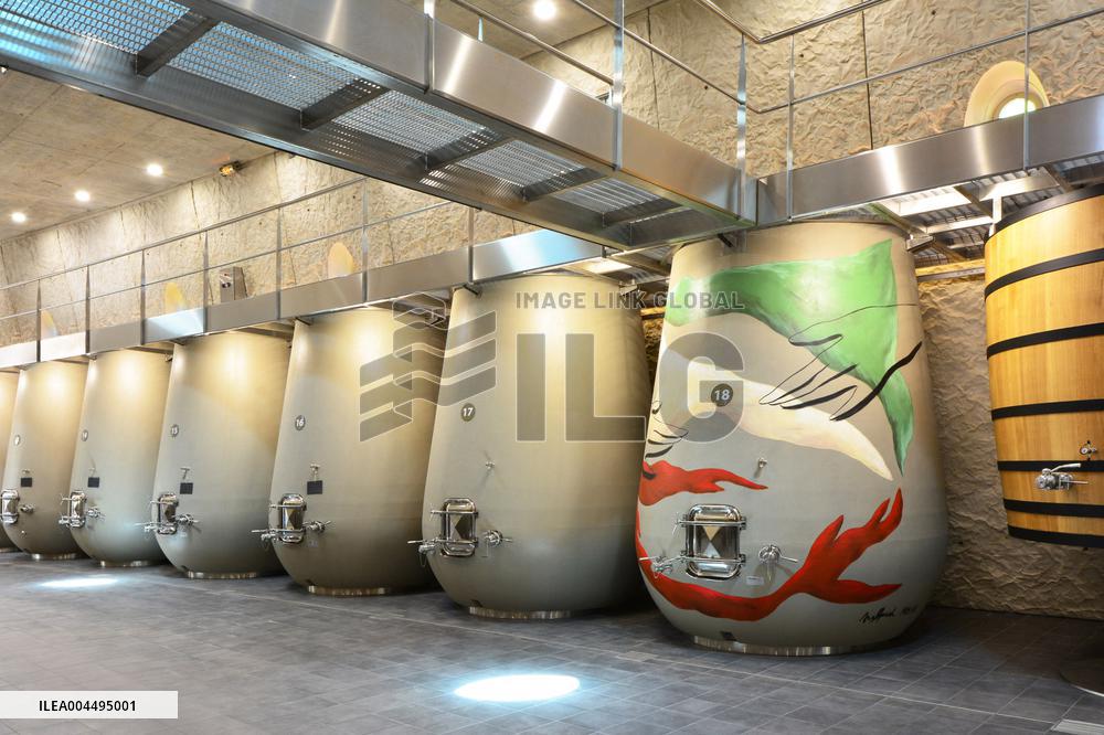 Illustration - Vin Medoc