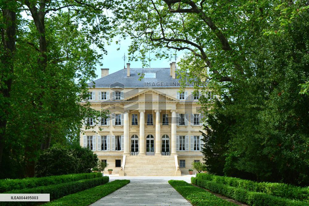 Illustration - Vin Medoc