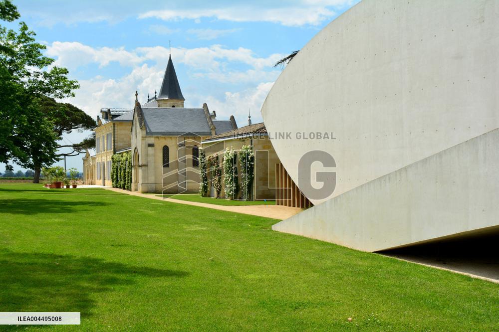 Illustration - Vin Medoc