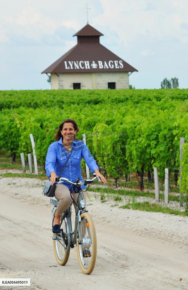 Illustration - Vin Medoc