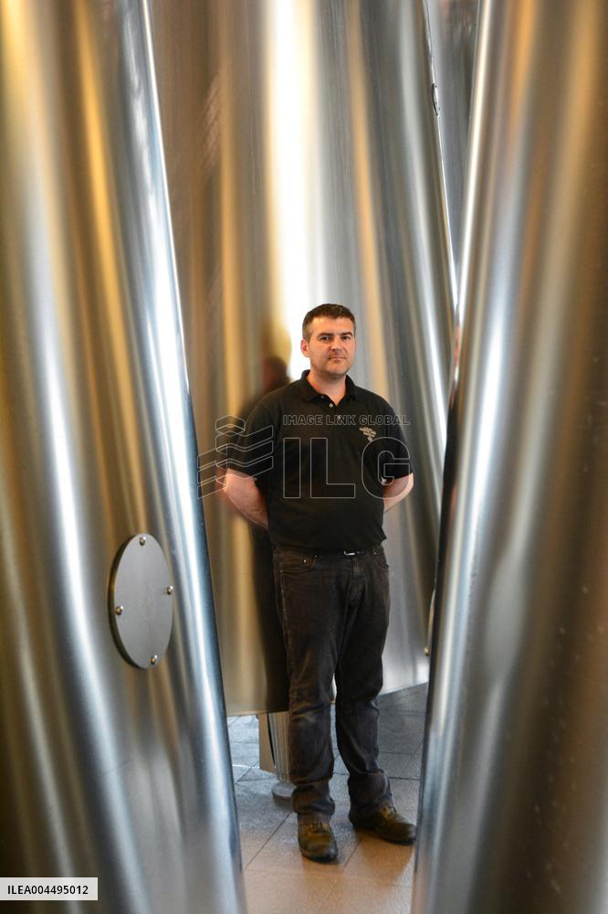 Illustration - Vin Medoc