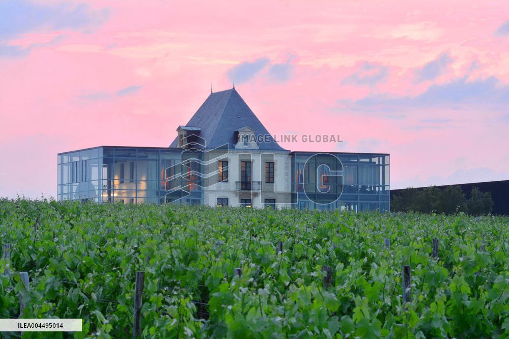 Illustration - Vin Medoc