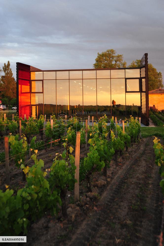 Illustration - Vin Medoc