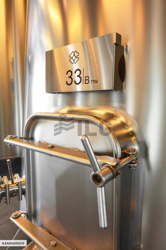 Illustration - Vin Medoc