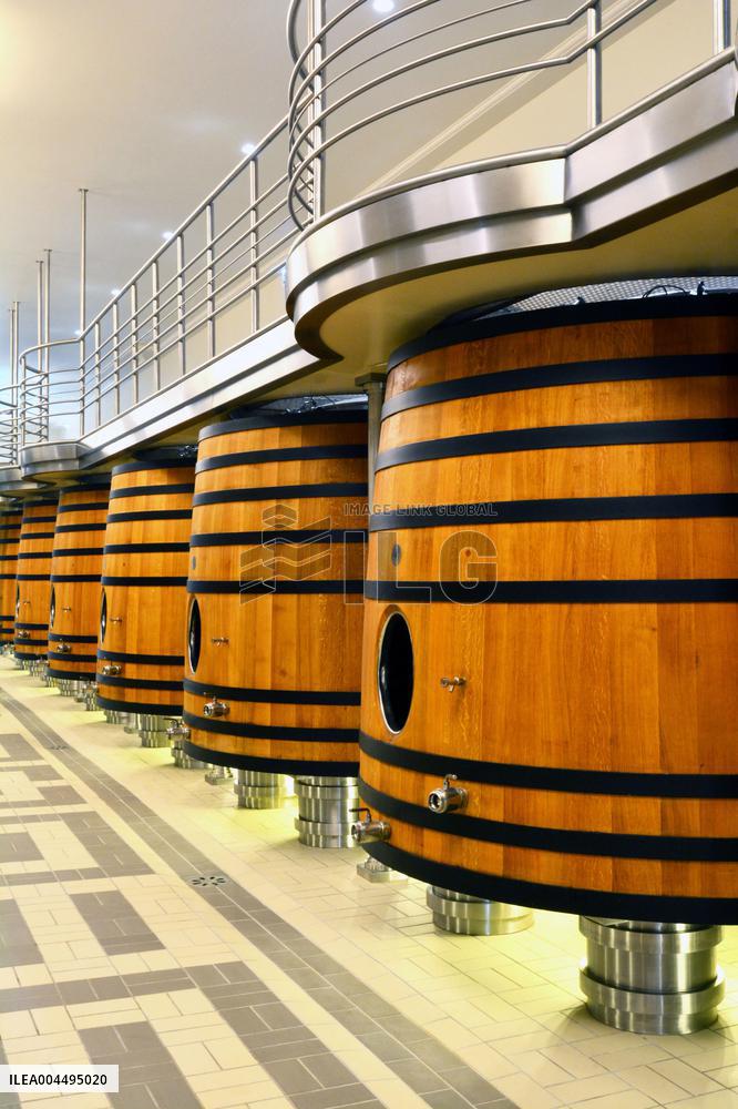 Illustration - Vin Medoc