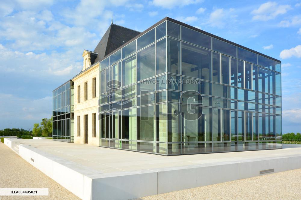 Illustration - Vin Medoc