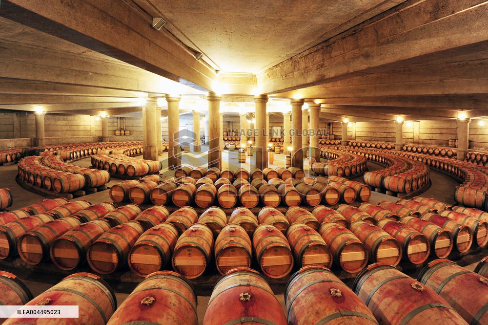 Illustration - Vin Medoc