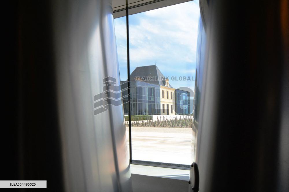 Illustration - Vin Medoc