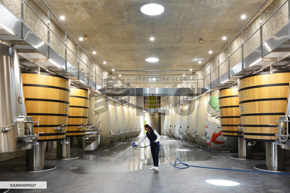 Illustration - Vin Medoc