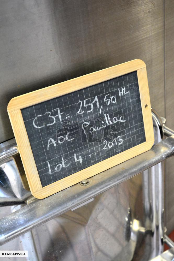 Illustration - Vin Medoc