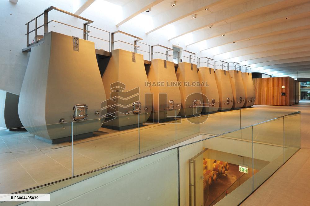 Illustration - Vin Medoc