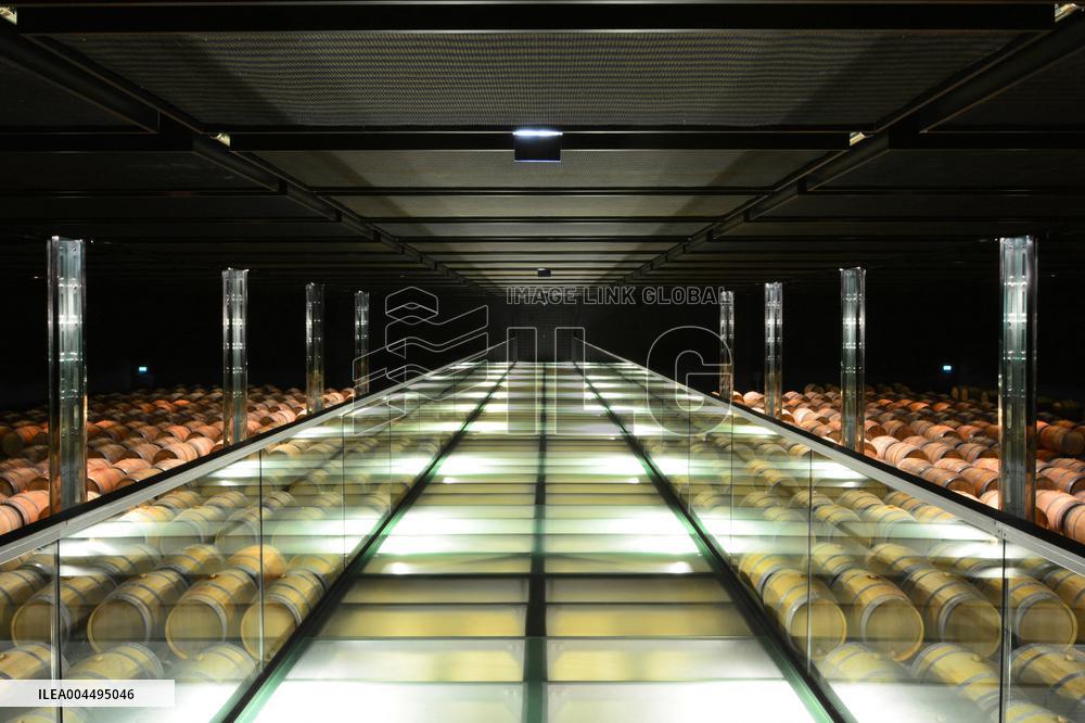 Illustration - Vin Medoc