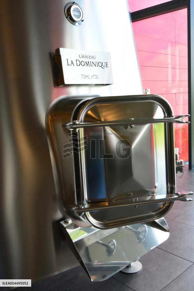 Illustration - Vin Medoc