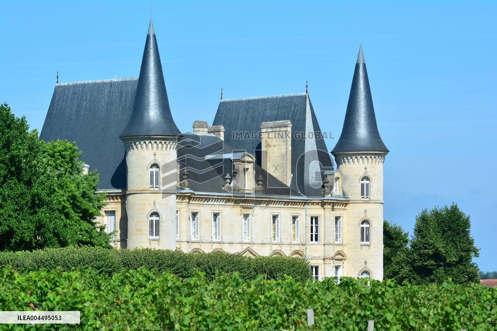 Illustration - Vin Medoc