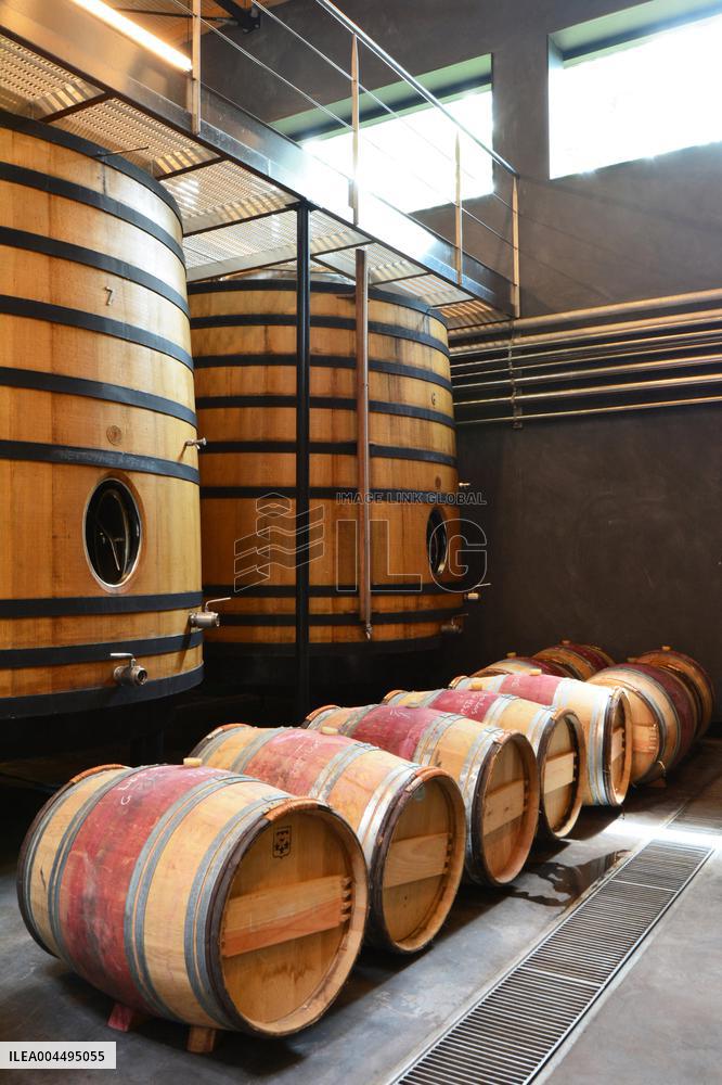 Illustration - Vin Medoc