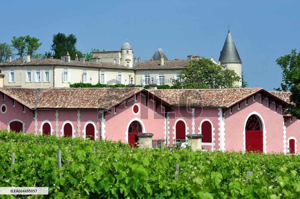 Illustration - Vin Medoc