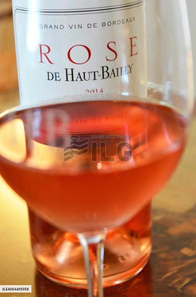 Illustration - Vin Medoc