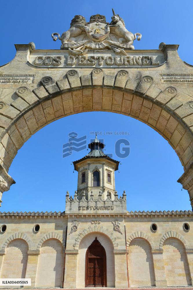 Illustration - Vin Medoc