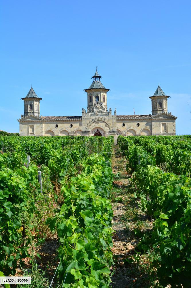 Illustration - Vin Medoc