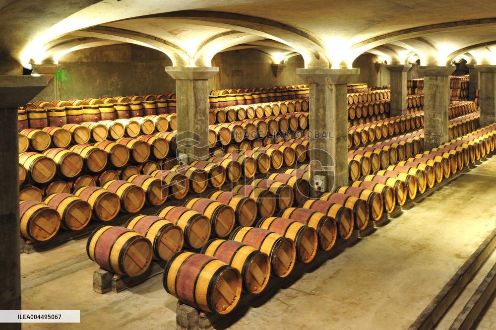 Illustration - Vin Medoc